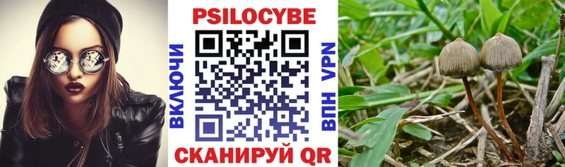 купить  сайты  блэк спрут зеркало  Псилоцибиновые грибы MAGIC MUSHROOMS  Полтавская 